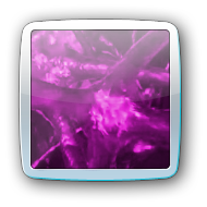 neurons