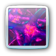 neurons