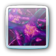 neurons