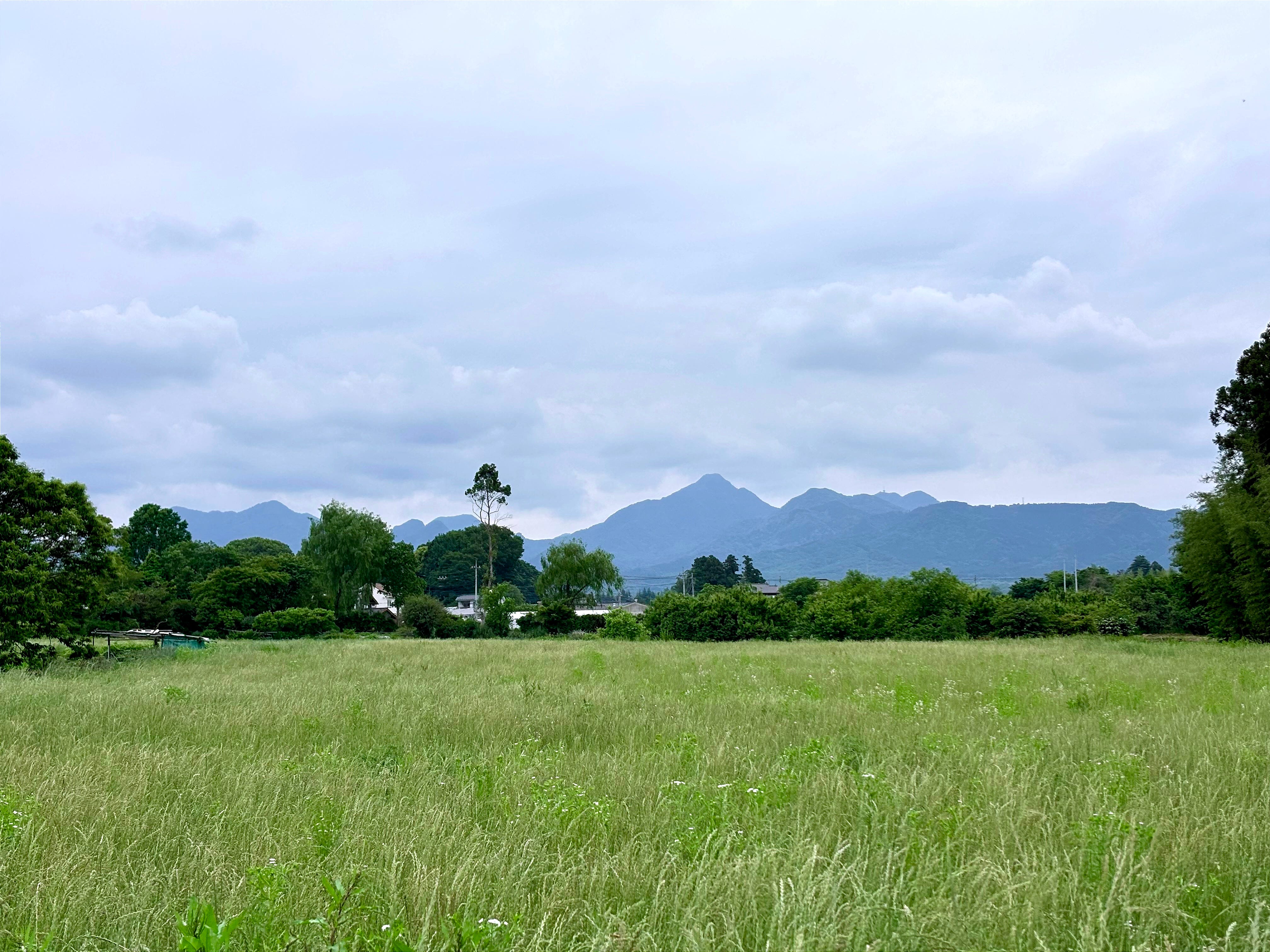 a grassy field with mountains in the background